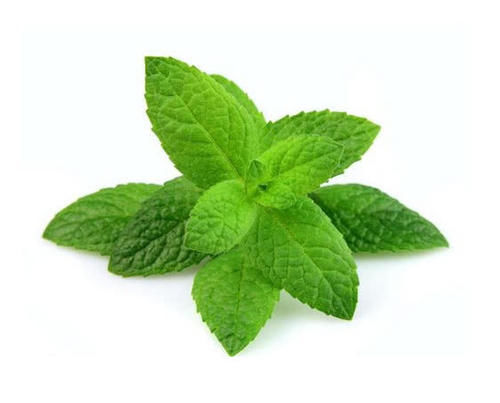 农村这种野草，以前都不当回事，很适合夏天泡茶喝，遇到别错过！