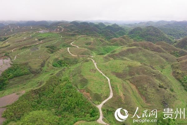  『贵州』贵州大方：重山村“变形记”