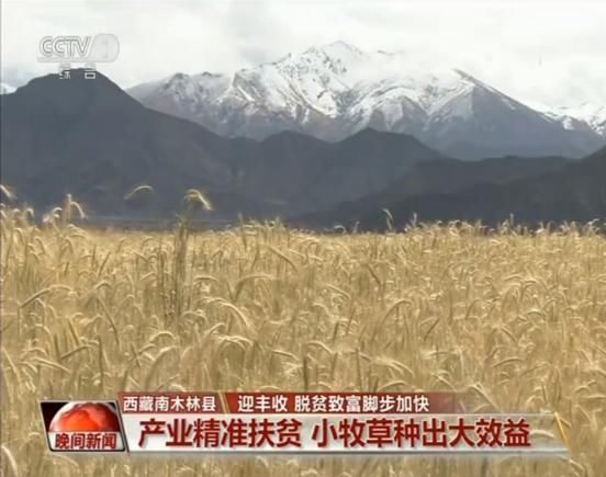 央视晚间新闻报道自然堂喜马拉雅公益种草项