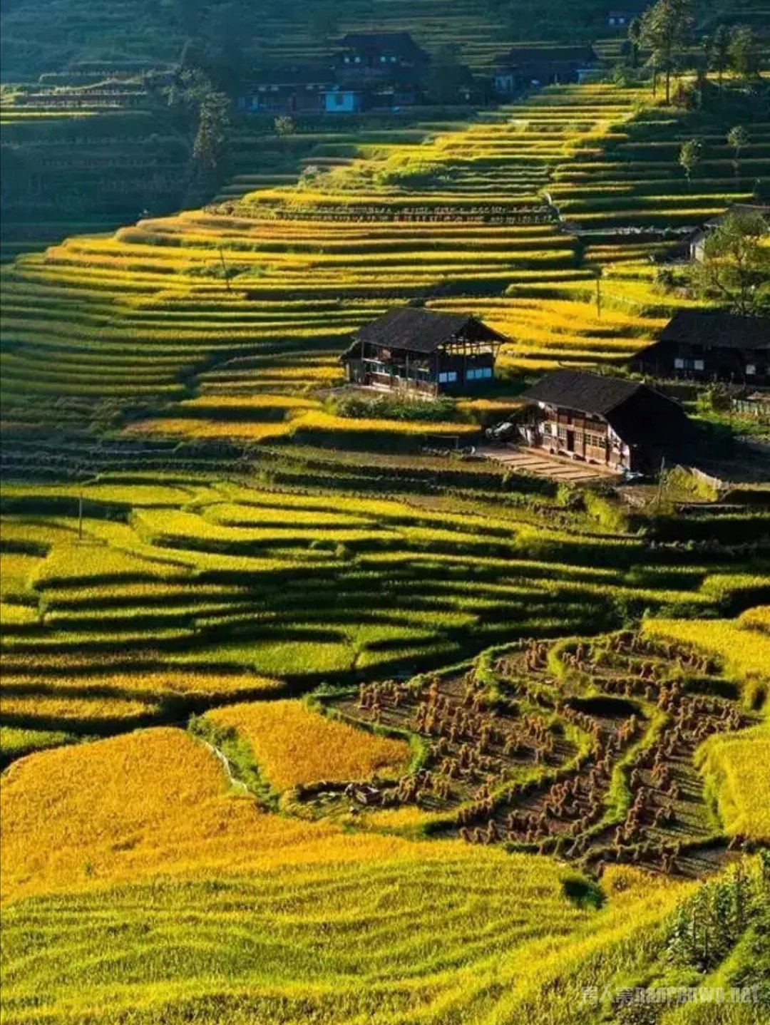 最美旅行地推荐 最值得去的地方不如趁着春节自驾走起
