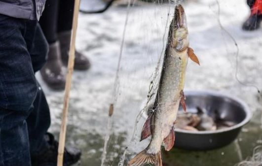 中国最大内陆淡水湖冬捕开始啦,渔民直接用湖水煮鱼,味道太棒啦