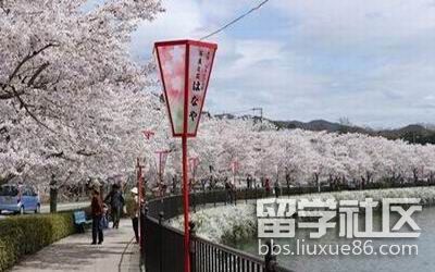 2018春节日本旅游购物攻略