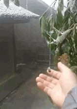 长春天气大反转！明三九，但是天儿竟然一言不合就升温