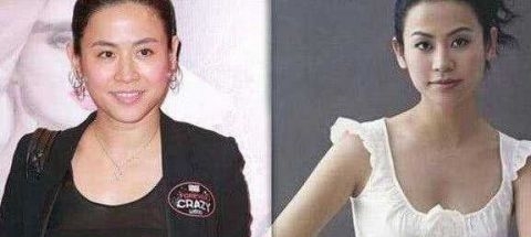 「鲁豫」这些女明星变胖后 个个容貌大变唯独她变胖后漂亮多了