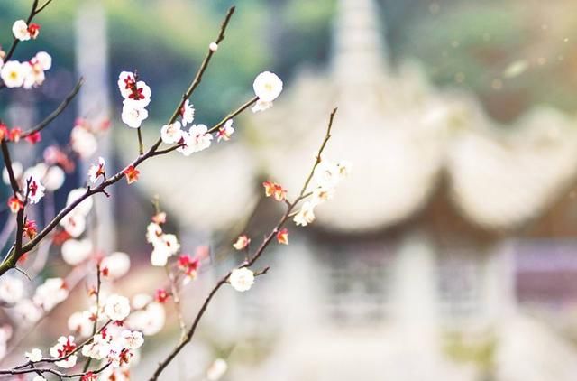 夜读丨男童公交上练吊环 司机阻止被怒怼丨女子出生年份被写错 官