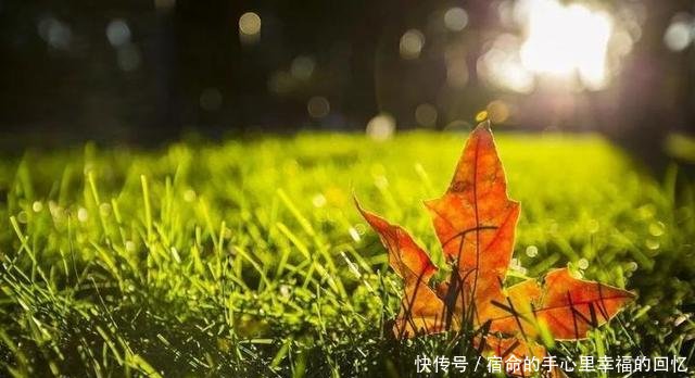 告别7月连续11天高温 8月立秋将带来清凉