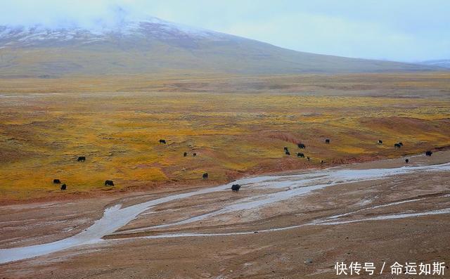 摩旅骑行，川藏线与青藏线，走哪条线更好？