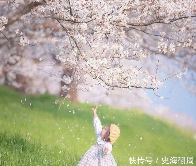  #银莲花#这十种春天开的花，把它请进你的家，让春天的鲜花走进你的生活