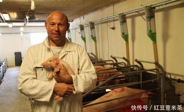  中国■全球最会“养猪”的国家，3个人就能养万头猪，养猪致富不
