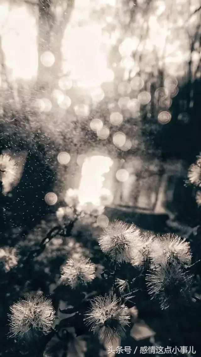 最近有谣言说我喜欢你，我要澄清一下，那不是谣言