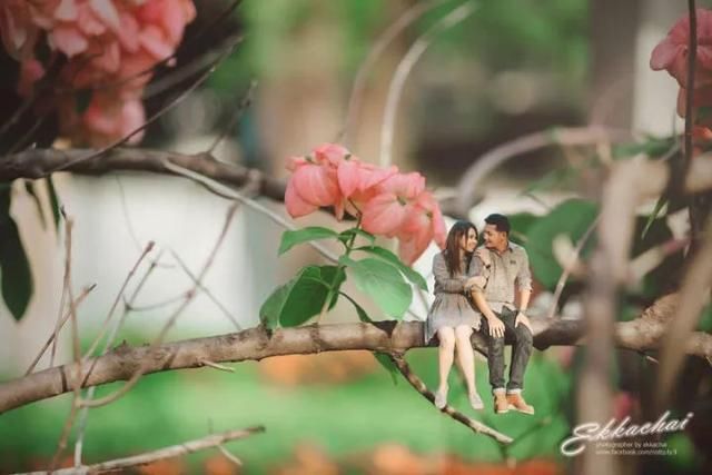  「历险记」婚纱照拍成小人国历险记，这样的创意摄影百看不厌，值得收藏