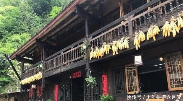 『稻田』《向往3》录制结束,褪去滤镜的蘑菇屋曝光,稻田成了唯一的美景