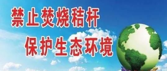 #农民技术协会#小麦拔节了,靠天收不行!听听专家怎么说