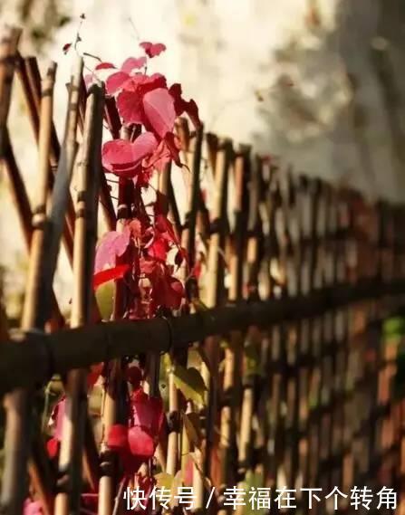  「快乐」篱笆小院住在乡村的快乐，你想体验吗！