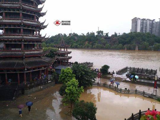 辟谣!鳄鱼逃跑、大桥被淹、美女被救…都是假的!这些信息才是真的