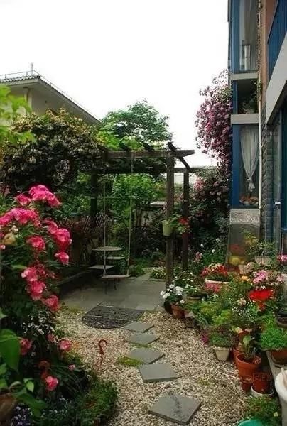 回农村 早院子，可劲造