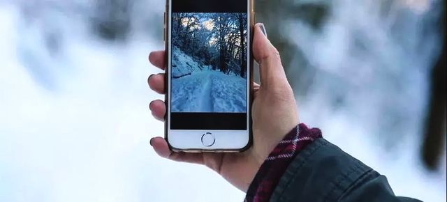 t011e81a010cac8e6e7.jpg?size=640x290