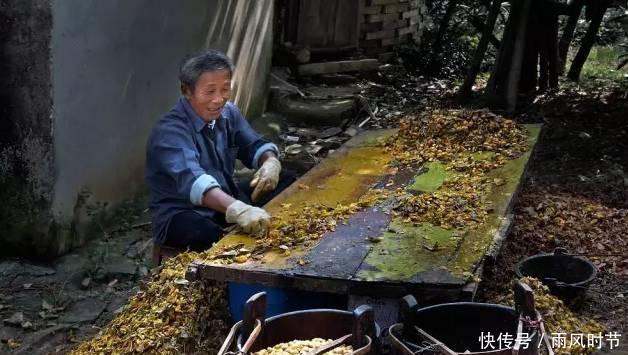  #攻略#中国内湖第一岛苏州洞庭西山岛旅行攻略