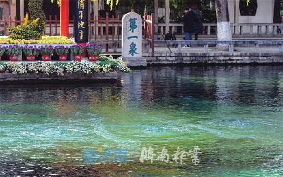 汛期过后破黄线!老天不给力,趵突泉又喊“渴”了