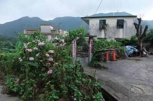  「植物」农村人叫它“臭牡丹”，开花非常臭，但是很漂亮，这种花你见过吗
