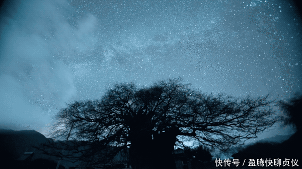 这部纪录片央视发力了,每一帧都可以当壁纸,BBC也无法超越