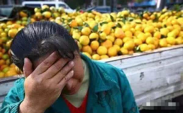 此国效仿越南，取消对中国的免签，如今却乞求中国原谅帮帮我们