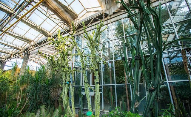 中国北方城市投资2.6亿,建亚洲最大室内热带植物园,看看有什么