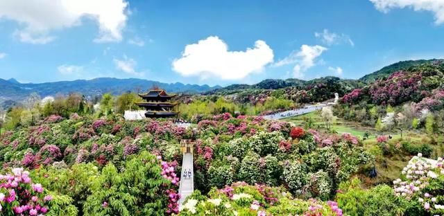 3月最值得去的国内旅行地,有2个很多人没听说过,却有绝美花海!