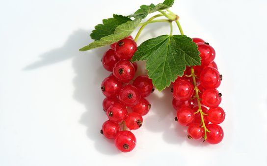  『食盐』一点食盐就能解决的事，你却花了那么多冤枉钱！