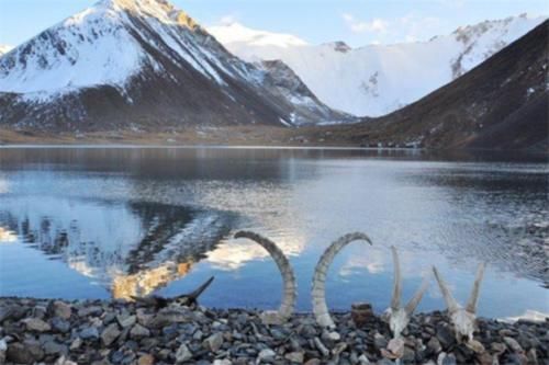 走近狼群守护的天山:有人曾晚上被湖里什么东西惊吓,一群人丢帐