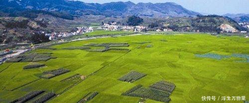  「明年」明年农村这3大证将停止办理，以后也会越来越值钱，没办