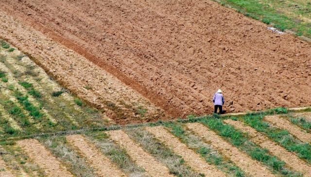  十年|未来十年农村什么最值钱？