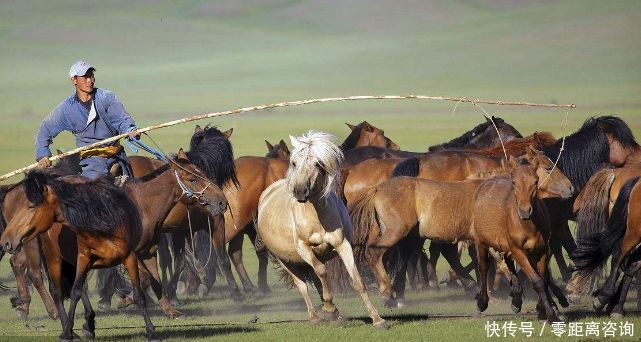  【外蒙】同样是蒙古，为何内蒙比外蒙多2100万人？原因无外乎这2