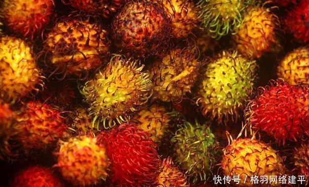  「碰壁」印度把“中国特产”带回去，想出口到其他国家，却四处