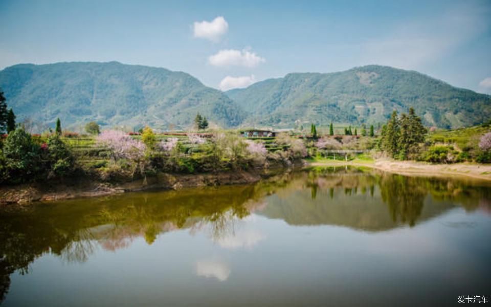 世外桃源@茶香环绕,与探岳陶醉在世外桃源。