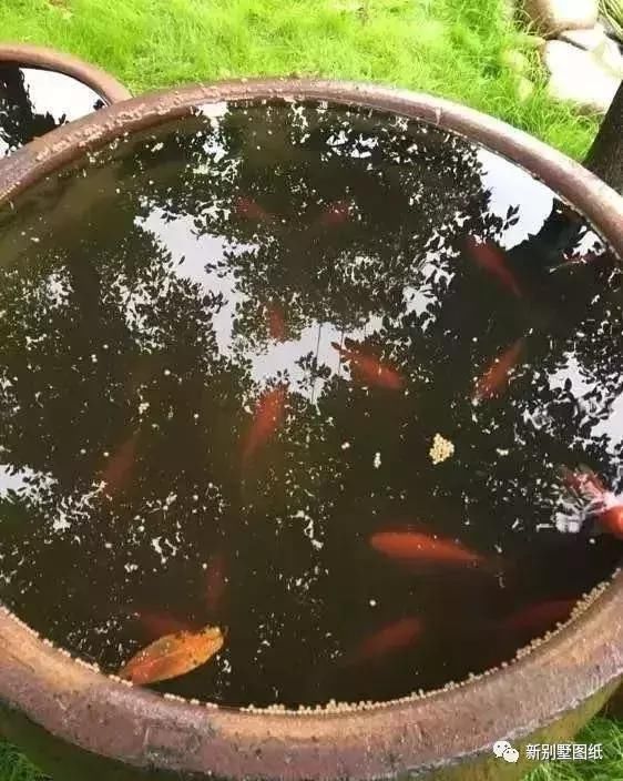 庭院设计|农村大叔手把手教你，一个人挖池塘，小院从此美美的