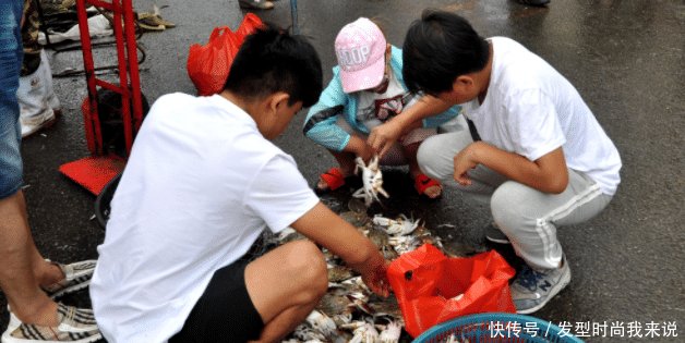 休渔期的青岛，海鲜都是这样卖的，游客都嫌脏不买，太不识货了！