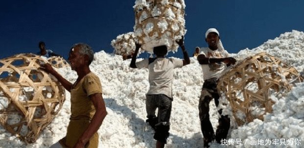 印度棉花廉价卖中国，却又花高价买回去，他们在打什么如意算盘