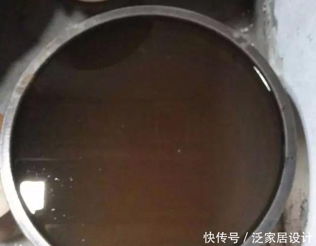  不生虫|给花草吃点这个，一年不生虫，不用施肥也长得又绿又壮