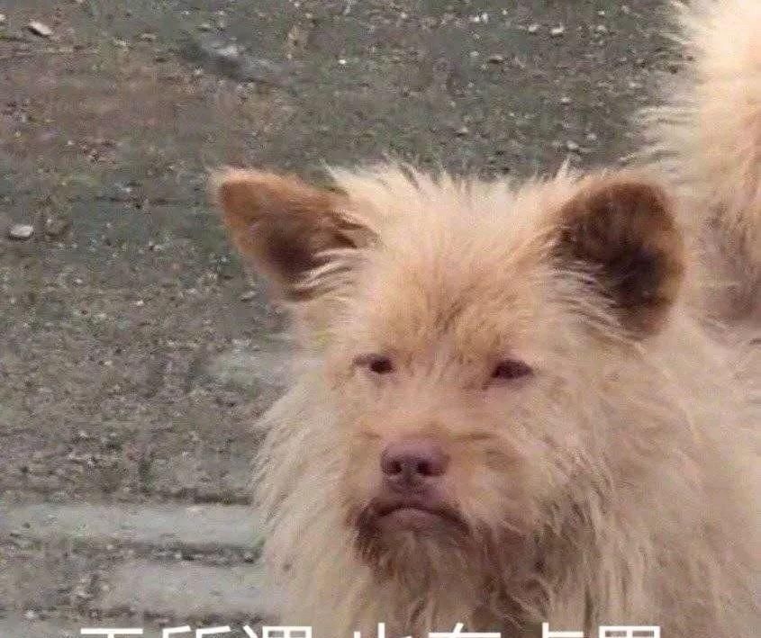  #朋友圈#发朋友圈忘记屏蔽爸妈的后果笑到窒息，以后再也不会忘记了
