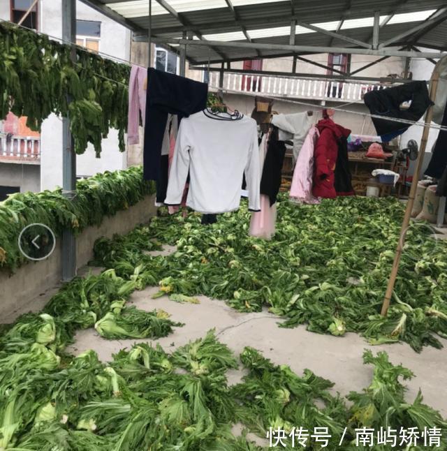 『收获』春天一边耕种 一边收获