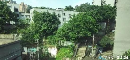 一定要看看重庆的这些照片! 震撼了全世界!