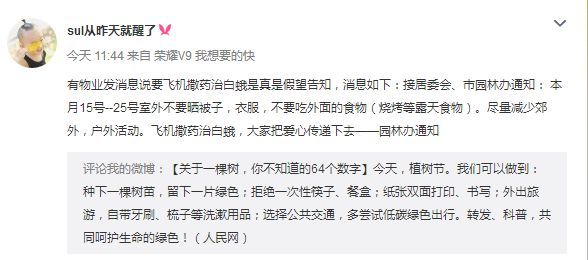 辟谣| 网传海口飞机撒药治白蛾，不要晒被子?真相来了!