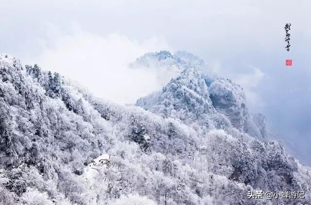 冬天到武当山，天下第一仙山，登金顶、赏风月、观云海、等一场雪