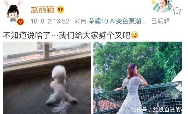 谢娜有哪些艺人