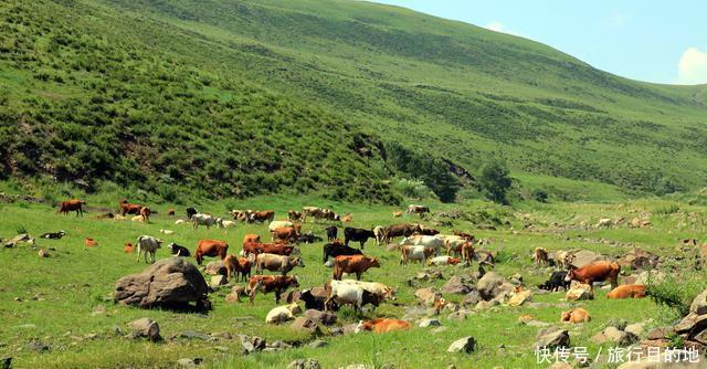 我国没“出息”的沙漠,曾是黄沙遮天日的荒凉,今成国家森林公园