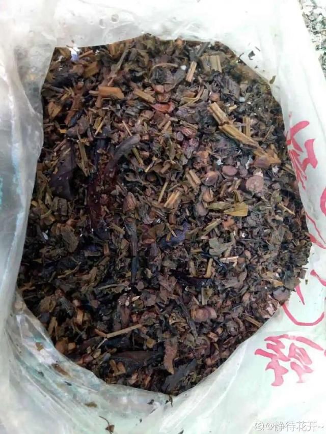  「溶液里浸泡」1粒小药片，碾碎丢水里，花像吃了兴奋剂疯长！