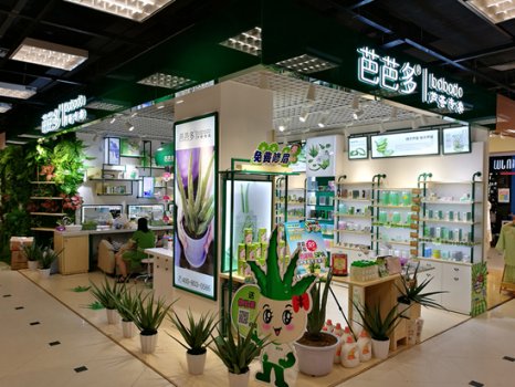 芭芭多芦荟单品牌店蓝海探寻，美容行业升级的下一入口
