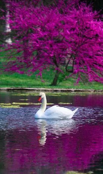 奇妙风光,难得一见