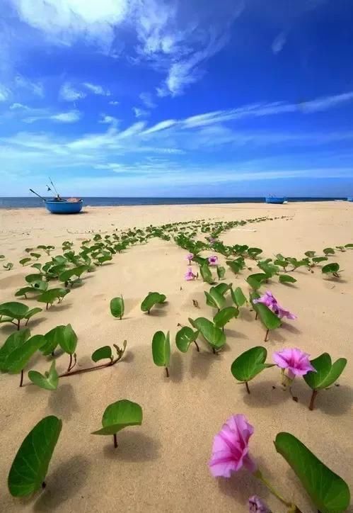 天堂照片!(快看)